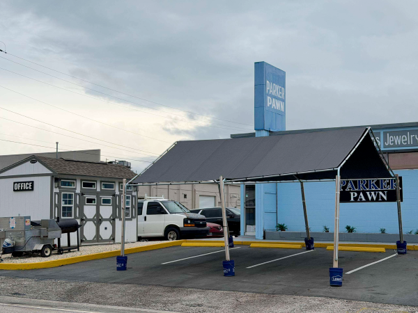 Image of Nothing Like Us Detailing and Parker Pawn